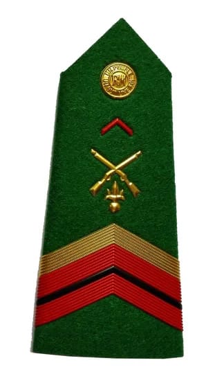 Ghana Immigration Military Navy Police Uniform Shoulder Epaulet (3)