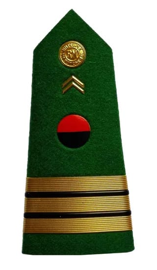 Ghana Immigration Military Navy Police Uniform Shoulder Epaulet (6)