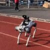 China-Xinxing-Large-Quadruped-Robot-Dog-Police-Solution (4) China Xinxing Large Quadruped Robot Dog Police Solution