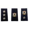 Military Shoulder Badges (1)